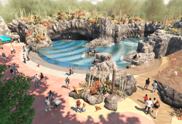 Screen-Shot-2021-07-05-at-10.25.04-AM