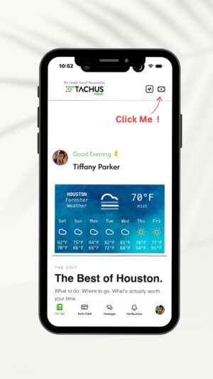 Purple Daily Horoscope Phone Video Instagram Story (2)