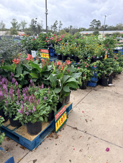 0948503B-4E81-4F05-BEB5-B953C9F02C48