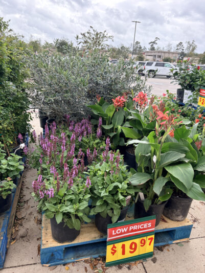 B4FB0BE8-CF5E-4247-899A-FCB73FF92321