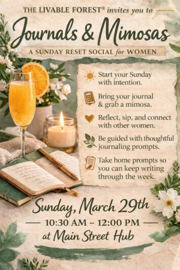 650813264_1341008584737816_906778886297277228_n