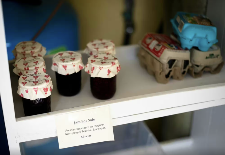 Screenshot 2026-03-30 at 8.31.07?AM