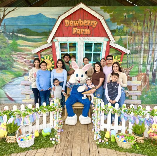 660043623_1401920275285090_2049789748606802180_n