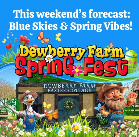 660935454_1401920198618431_3255729394277944089_n