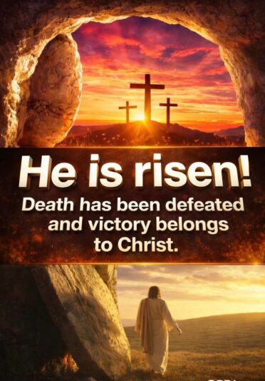 b62273ed-59af-4f47-a52d-8dc70cb79209