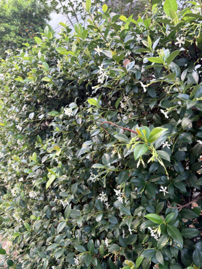 3885E436-55DE-4913-B448-1AAB6BB319B6