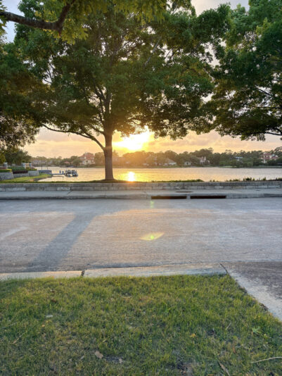 6E9A7B3E-8BA6-4A95-B98C-5B0F8CF68D85