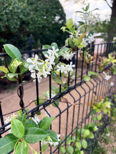 DC00E237-8749-4689-9114-6CDBADE051BD