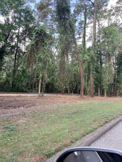 33AD35E8-BD0B-49FA-B7C6-55FB544722C4