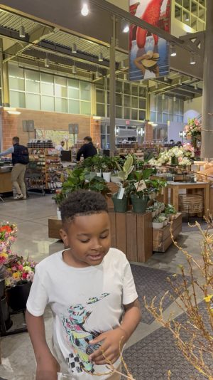 4B55F101-E48A-4C6A-B91D-0588A48C321E