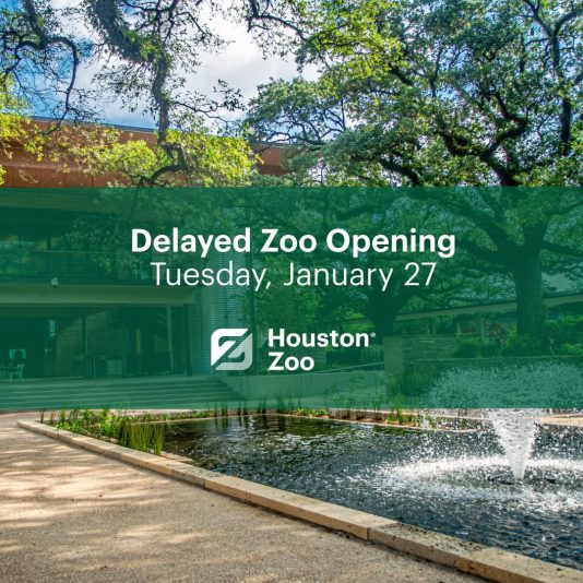 622255819_1328894069274944_4169262997593169364_n