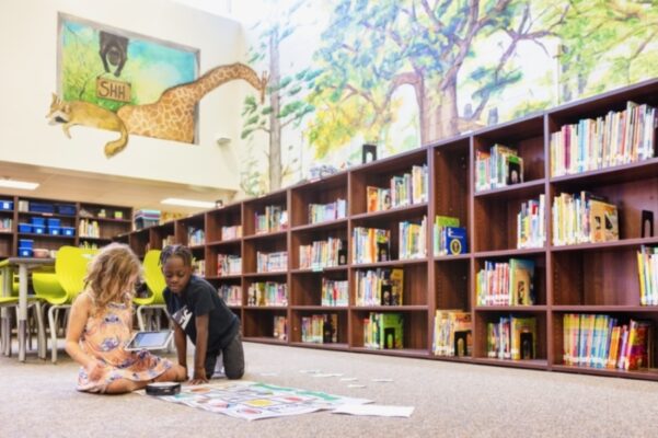 download - 2026-02-09T055318.974