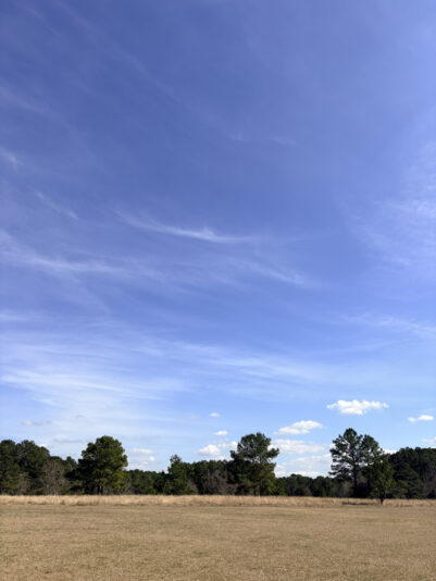 D85724ED-1CF1-4FC3-A65C-1C450E602580