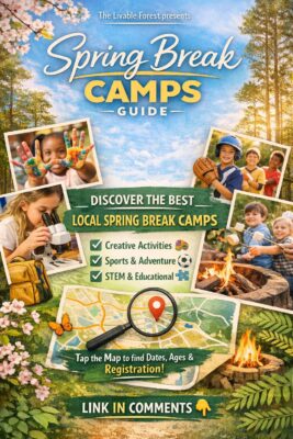 640075245_1321407216697953_4292773699165448629_n