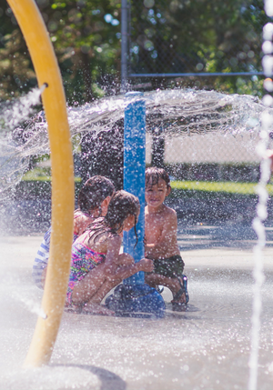 tott-highlight-graphics-26_crop